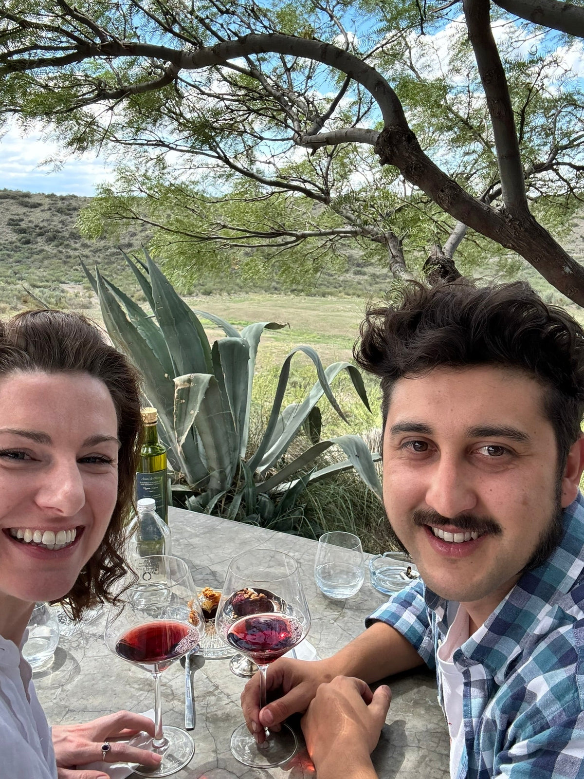 Chapter 2 - An Argentinian lunch takes a turn