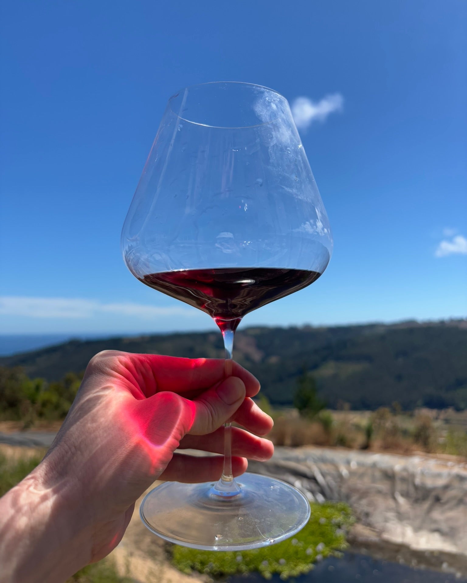 NR4 + NR5 - 6 bottles (mixed case with 3 of each)