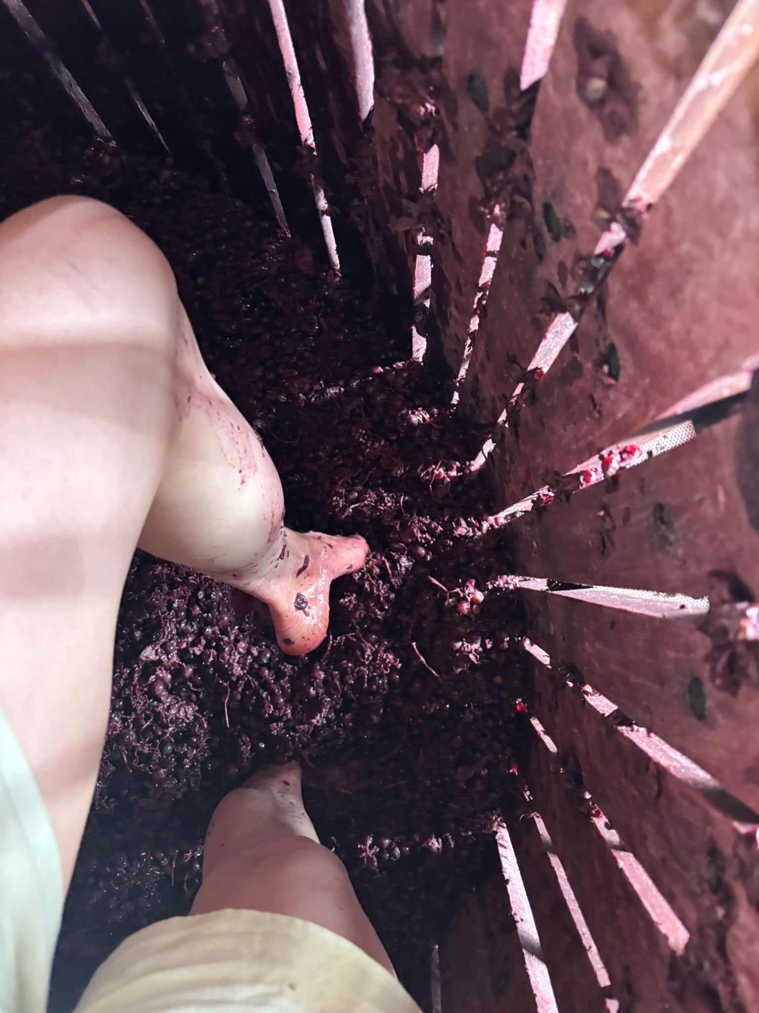 NR4 + NR5 - 6 bottles (mixed case with 3 of each)